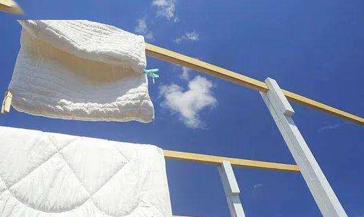 被螨蟲叮咬有哪些癥狀?預防螨蟲的方法有哪些?