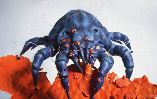 螨蟲過敏有哪些癥狀?螨蟲過敏有哪些危害?