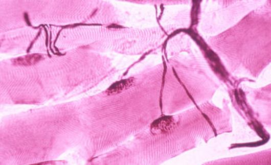 維生素B族缺乏的癥狀是什么?維生素B12缺乏的作用