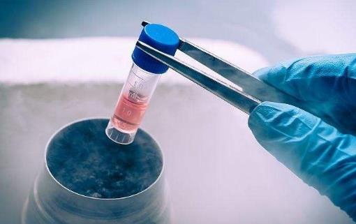 DHA是什么?dha有哪些作用?