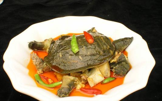 脾胃虛寒怎么調理?脾胃虛寒不要吃什么?