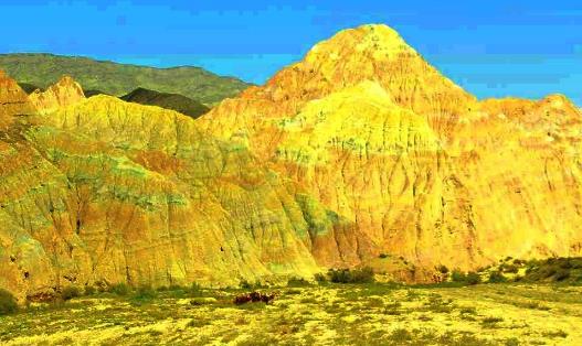 家里有跳蚤怎么辦?身上抹什么跳蚤不會咬?