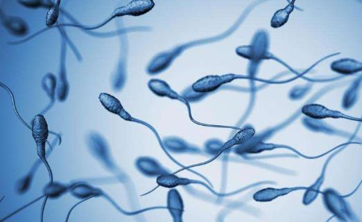 精囊炎會傳染嗎?哪些人容易患精囊炎?