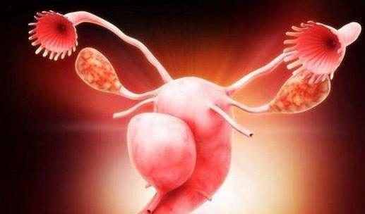 卵巢功能衰退有哪些癥狀?卵巢功能衰退怎么調(diào)理?