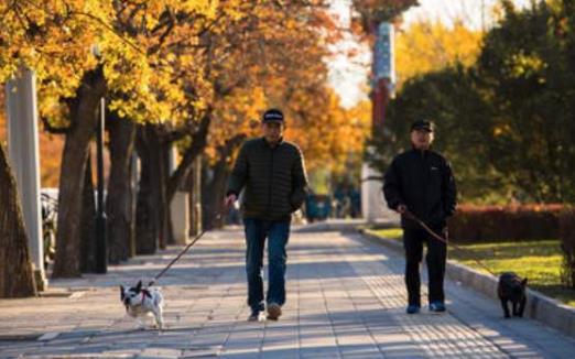 外陰瘙癢有哪些危害?外陰瘙癢的原因有哪些?
