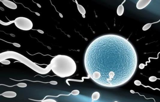 精索靜脈曲張術后會復發嗎?引起精索靜脈曲張的原因