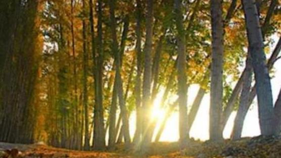 哪些人容易陰囊潮濕?陰囊潮濕有哪些癥狀?