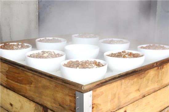 玉靈膏的禁忌和副作用有哪些你知道嗎