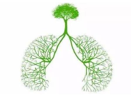 肺結核和感冒的區別是什么?肺結核的危害