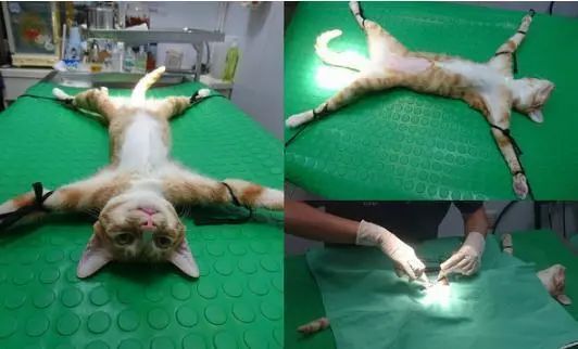 武漢馬應龍肛腸醫院黑不黑 患者評價滿意