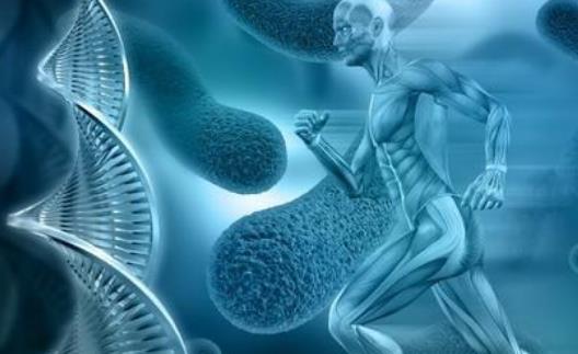 什么是酸性體質(zhì)?酸性體質(zhì)怎么調(diào)理?