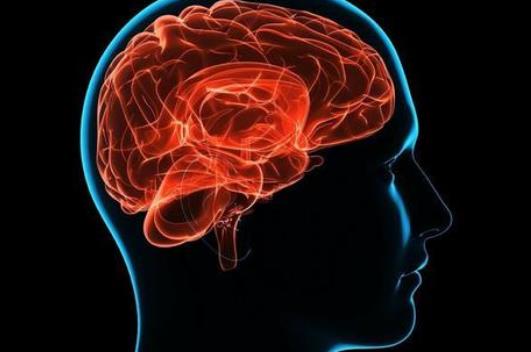 哪些疾病會引起腦供血不足?腦供血不足怎么調(diào)理?