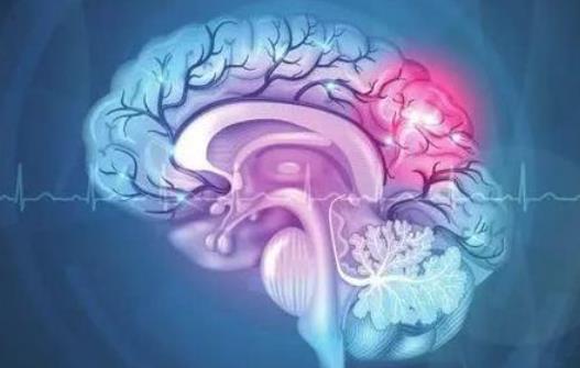 哪些疾病會引起腦供血不足?腦供血不足怎么調(diào)理?