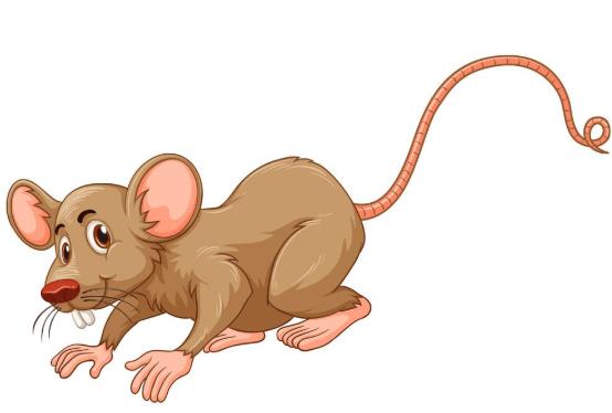 ������ͨ�^(gu��)ʲô�����ģ����������(hu��)���ˆ᣿