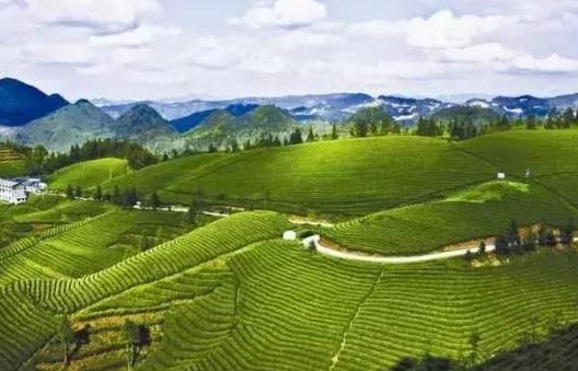 農藥揮發掉是不是就沒有毒了?聞了農藥味怎么給身體排毒?