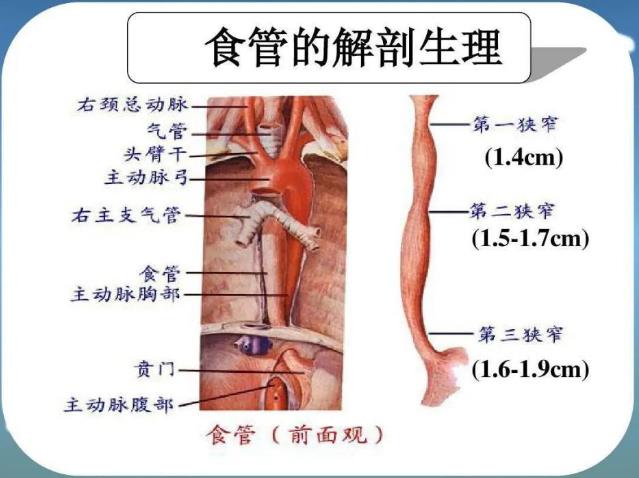 廣東哪家能看好腫瘤暨南大學(xué)附屬復(fù)大腫瘤醫(yī)院