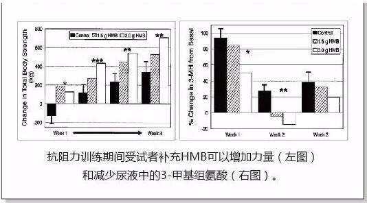 十年磨一劍,HMB不改初心守護(hù)老年人肌肉健康