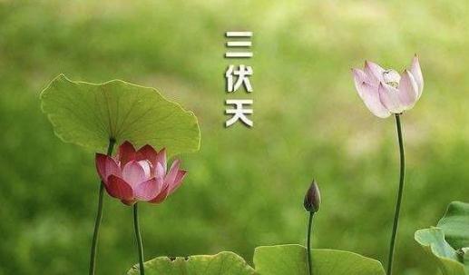 三伏天吃什么去濕氣 三伏天如何去除濕氣