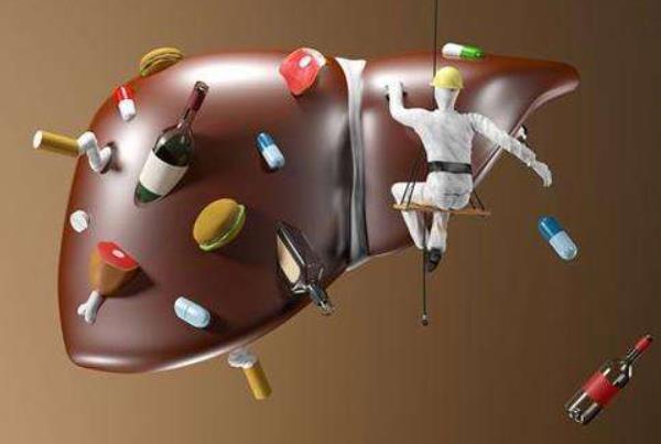 酒精肝是怎么回事?什么樣的人容易得酒精肝?