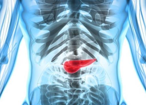 胰腺炎的人進icu嚴重嗎?慢性胰腺炎20年生存率高嗎