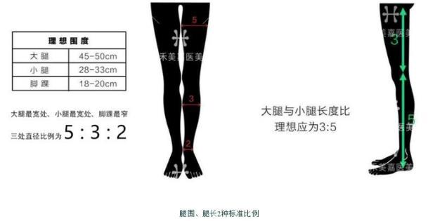 吸脂醫生關幾夢:吸脂瘦腿可以解決肥胖腿型嗎?