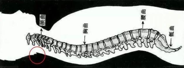 重慶紅樓醫(yī)院骨科收費(fèi)高嗎_評(píng)價(jià)好不好_對(duì)癥治療醫(yī)術(shù)精湛