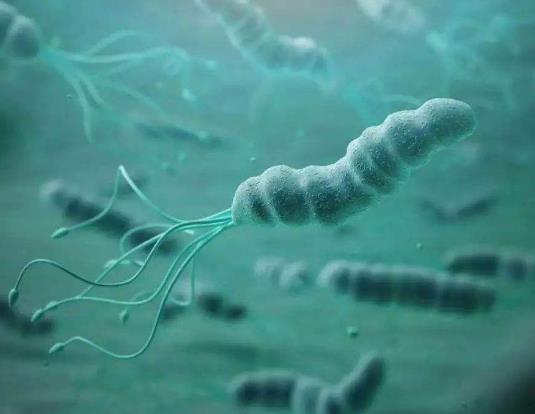 幽門螺桿菌陽性會得什么病?幽門螺旋桿菌致癌物有多可怕