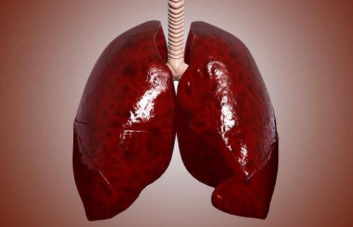 人造肺已經問世 換還是不換