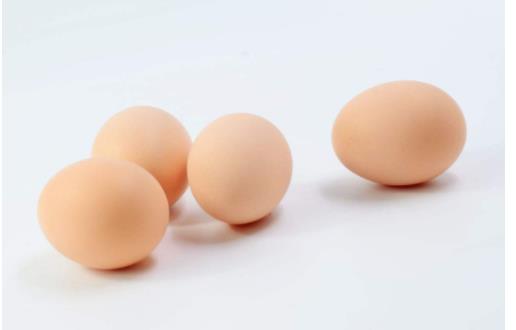 雞蛋中含有抗氧化劑 吃雞蛋或能減緩記憶力減退