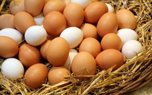 雞蛋中含有抗氧化劑 吃雞蛋或能減緩記憶力減退