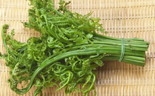 野菜真的比普通蔬菜更有營養(yǎng)嗎 吃蕨菜會致癌是真的嗎