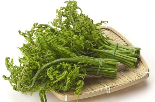野菜真的比普通蔬菜更有營養(yǎng)嗎 吃蕨菜會致癌是真的嗎