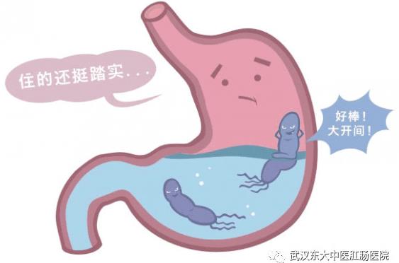 武漢東大肛腸醫院:專業致力于腸胃健康