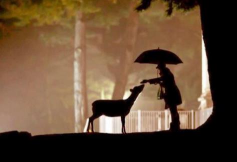 狐臭的輕重如何判斷?有了狐臭怎樣治?