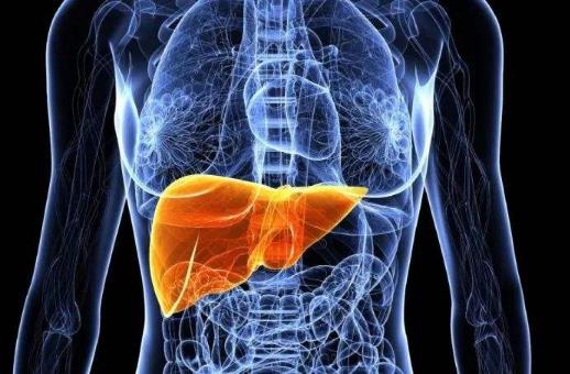 肝臟不好要先排毒 9招教你排出體內毒素 多吃9種食物可養(yǎng)肝