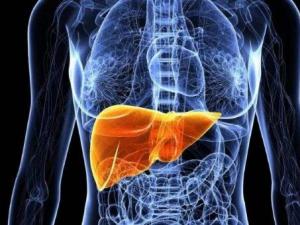 ���K����Ҫ���Ŷ� 9�н����ų��w��(n��i)���� ���9�Nʳ����B(y��ng)��