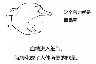 漫畫科普-糖尿病治療新模式