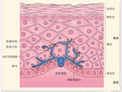 長沙華山皮膚病醫院正規嗎?專業正規杜絕亂收費