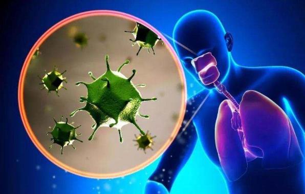 �¹ڲ����������Ђ�Ⱦ������Ć� �¹ڲ��������ڕ���Ⱦ�o�e�ˆ�