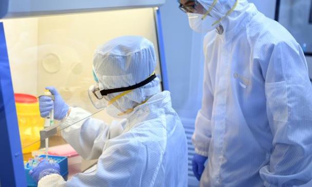 2020��������߀���ٴ΁�᣿���䶬�������������