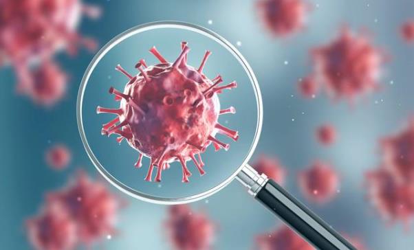 �¹ڲ����������Ђ�Ⱦ������Ć� �¹ڲ��������ڕ���Ⱦ�o�e�ˆ�