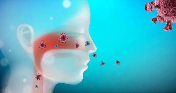 2020��������߀���ٴ΁�������䶬�������������