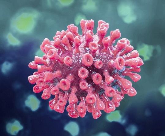 �����������ā��Ė|�����Æ� �������^���Ŀ��f�������в���