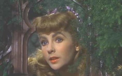 世界上最罕見的眼睛,伊麗莎白·泰勒的紫色眼睛世間難有