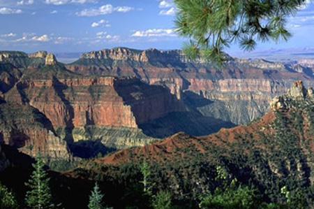 ���������L���ѹȎ���ʲô���|�Ǵ��ѹȵ��γ�ԭ��