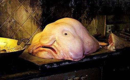 世界上最丑的魚