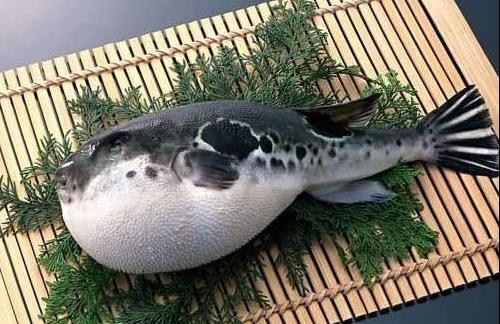 世界上最貴的毒藥