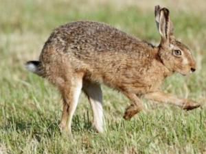 �������������� �W��Ұ���_��72����/С�r