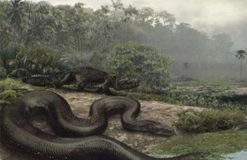 史上最大的蛇 長達15米的泰坦蟒天下無敵被滅種