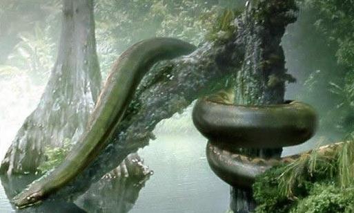 史上最大的蛇 長達15米的泰坦蟒天下無敵被滅種
